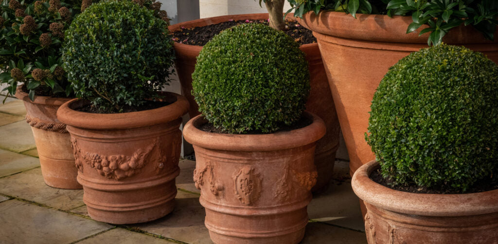 On trend: hues of terracotta