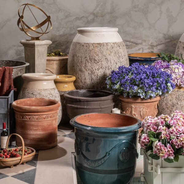 Summer Sale – ends 29 August