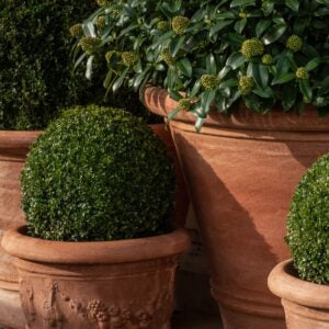 Planters